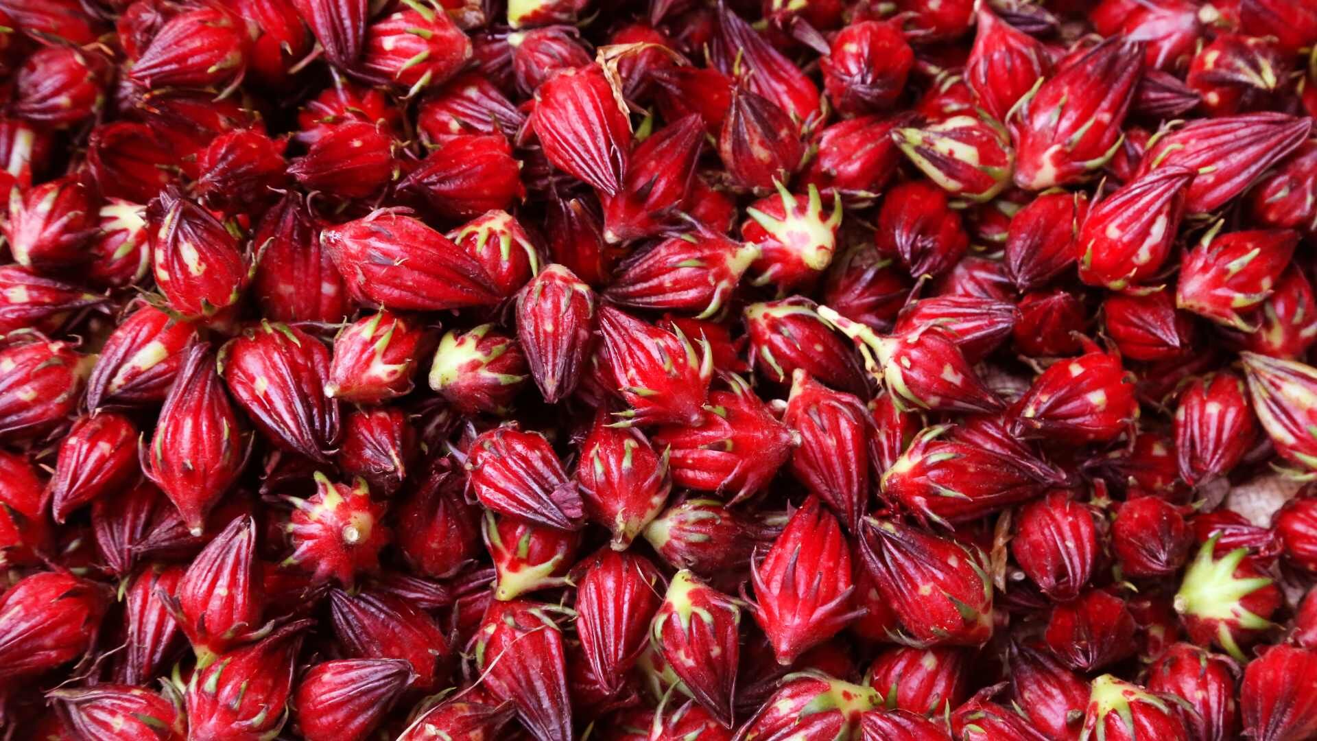 carcadè